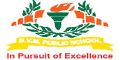 BVM Public School Company logo